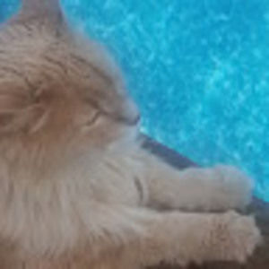 Meet your Posher, Teresa